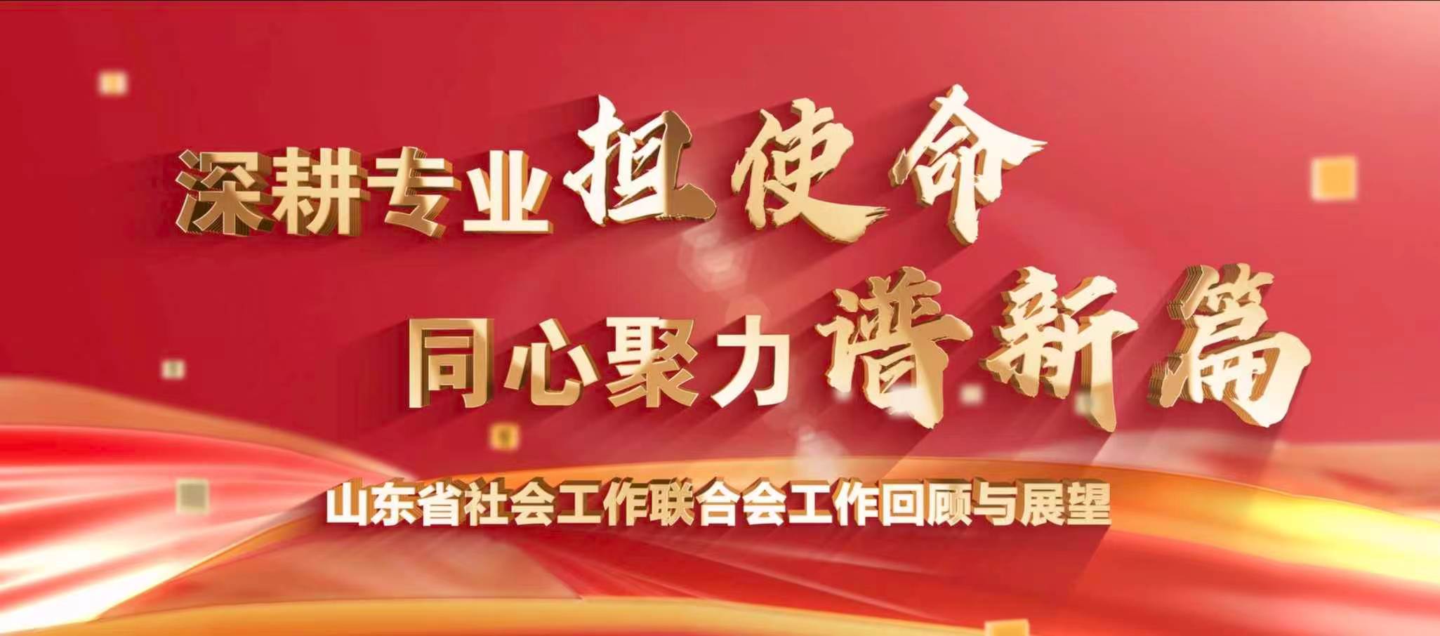 深耕专业担使命 同心聚力谱新篇｜省社会工作联合会工作回顾和展望宣传片